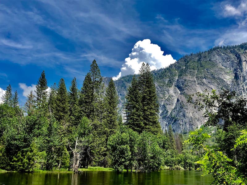 17 Absolutely Best Yosemite Cabins For Rent 5 Yosemite National Park