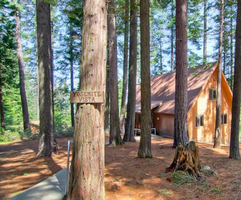 This cabin is one of the most pet-friendly cabins in Yosemite