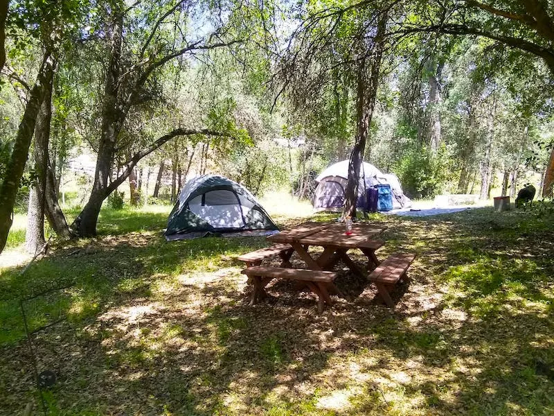 This campsite is Ahwahnee is one of the best airbnbs in Yosemite for nature lovers 