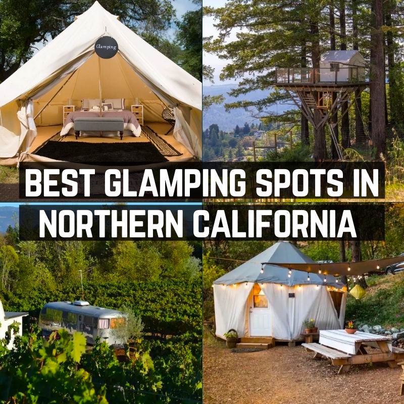Guide to Best Glamping in Northern California