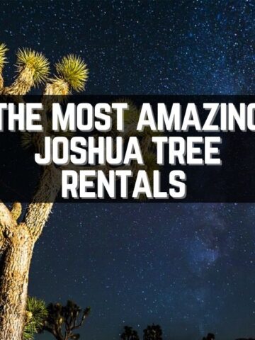 15 Best Joshua Tree rentals for the perfect vacation