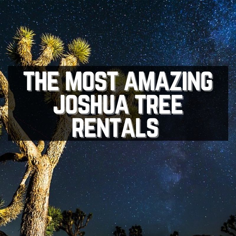 15 Best Joshua Tree rentals for the perfect vacation
