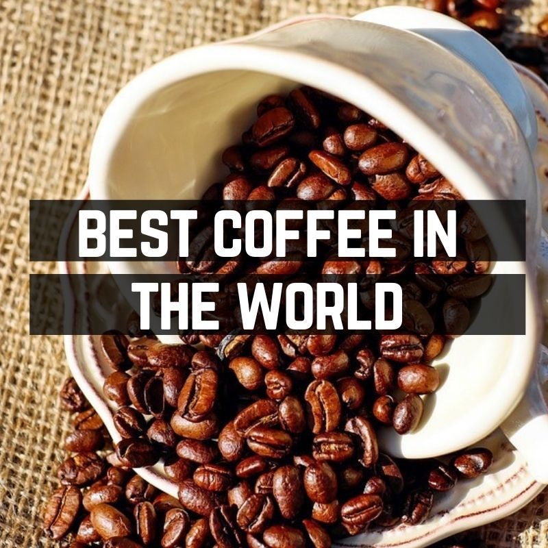 Best coffee in the world