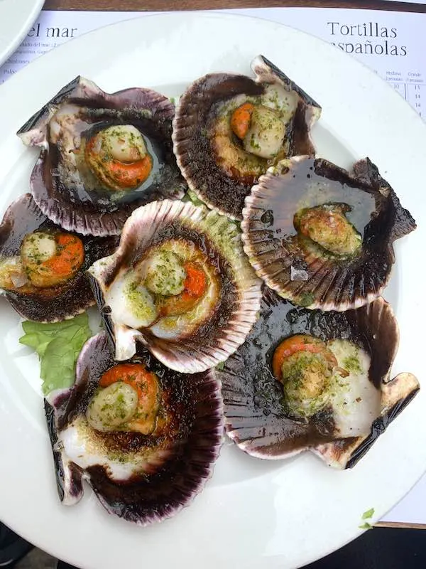 Galician scallops are mon the most popular foods in Spain