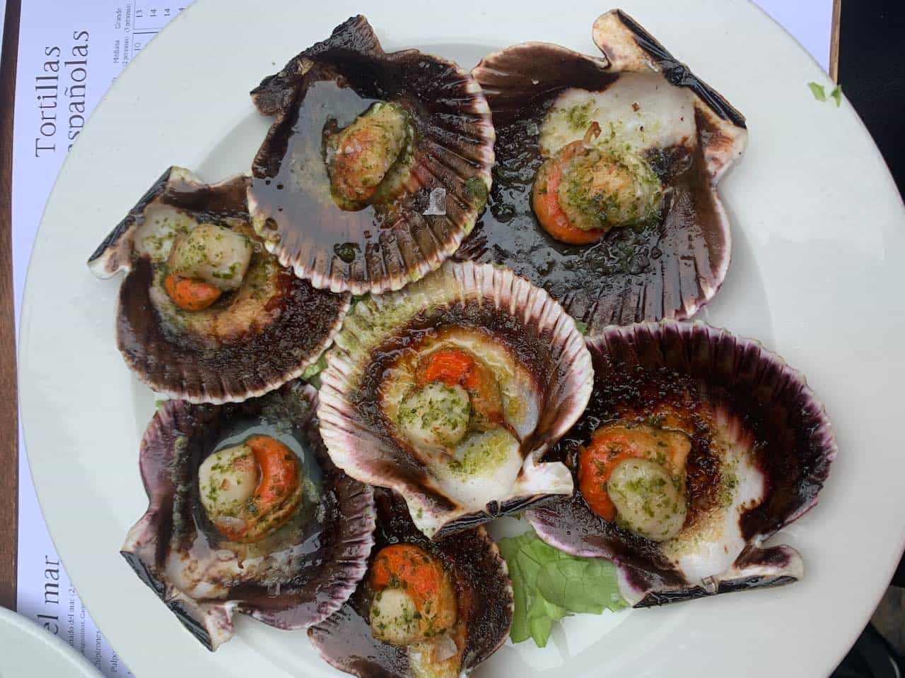 Scallops from Galica are some of the most popular Spanish food
