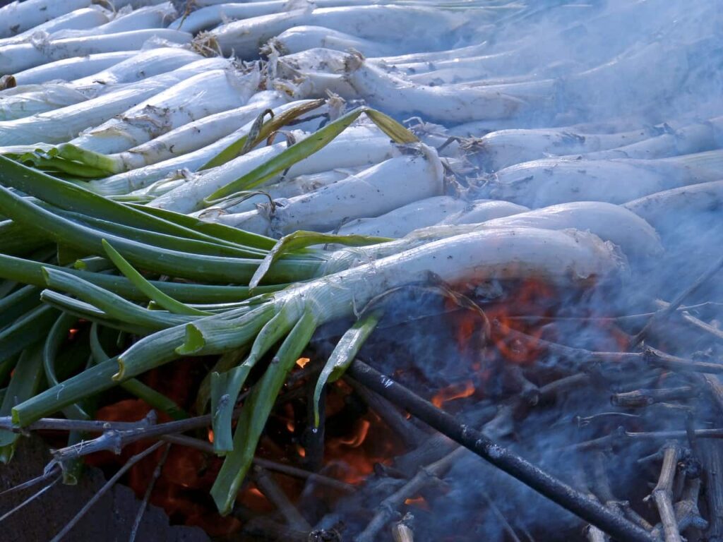 Calcots are popular Spanish food from catalonia 