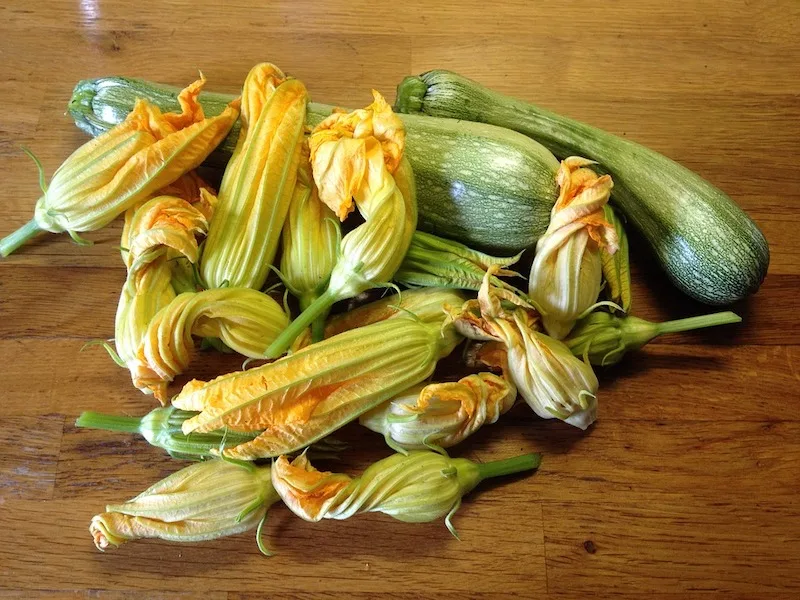 Fried zuchhini flowers from Rome are some of the best fried foods in the world 