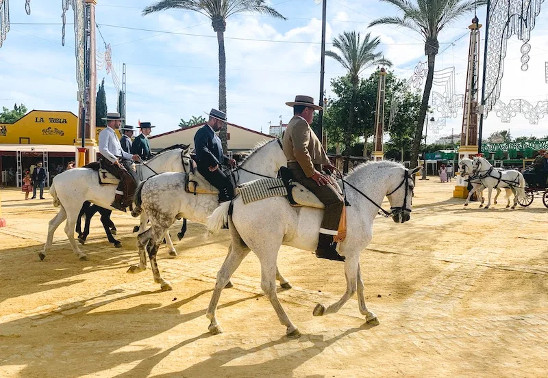 31 Best Things to do in Seville Spain in 2023 44 A day trip from Seville to Jerez is one of the bst thngs to do in Seville area