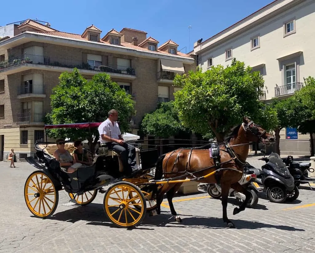 Hva a fun horse-carriage ride is one of the best things to do in Seville 