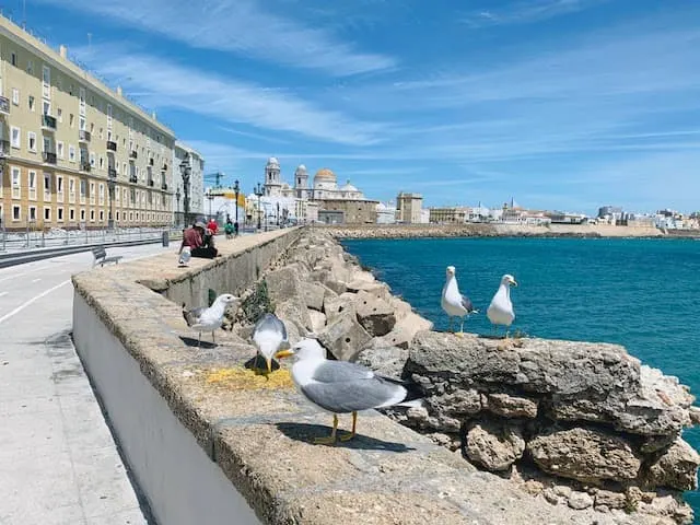 Cadiz is one the best cities in Spain worth traveling