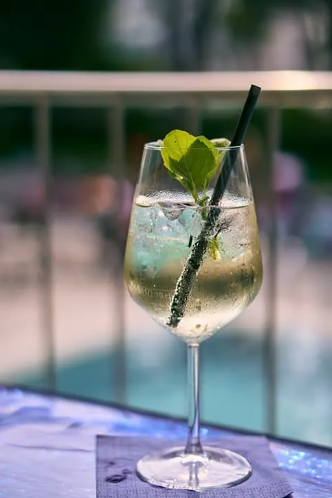 11 Most Famous drinks from Spain 7 Rebuijto cocktail is one of the most famous drinks from Spain