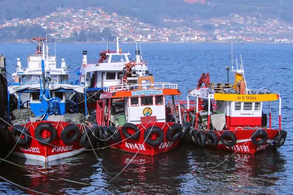 Vigo is one of the best destinanations in Spain for seafood