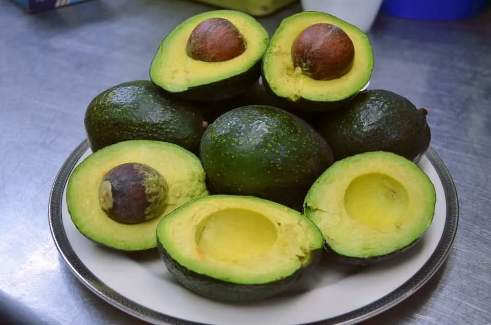 Avocados are some of the best food in Mexico 