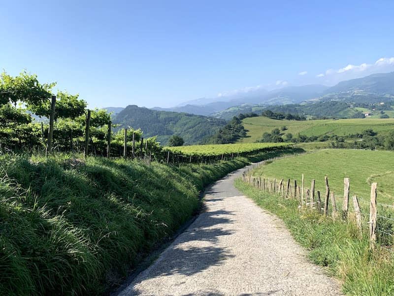 A path on the Camino del Norte