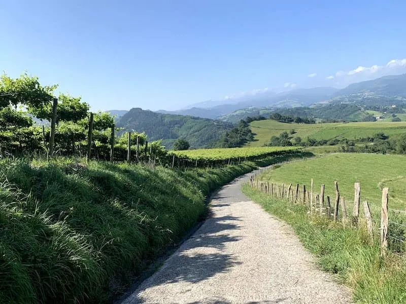 Camino del Norte: Hiking Camino de Santiago del Norte in Spain (2023 Update) 39 A path on the Camino del Norte