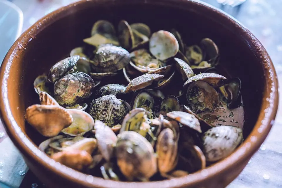 Spanish Food: 59 Popular Spanish Foods That Will Make You Adore Spanish Cuisine (2023) 23 Almejas en salsa verde are famosu Spanish tapas from northern Spain