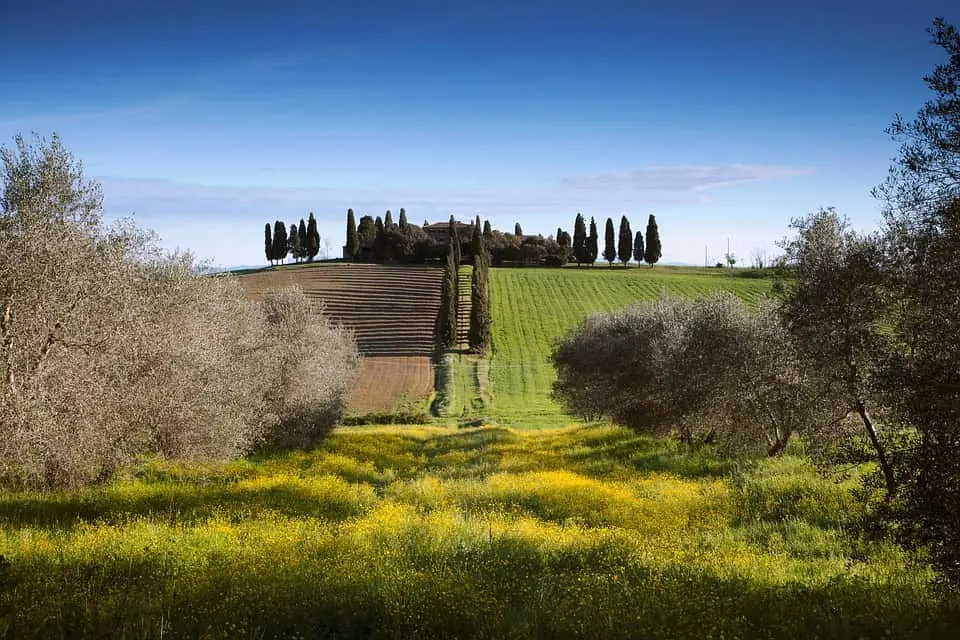 Travel Guide to Tuscany Italy (2023) 25 Italy Tuscany countryside is a must-see