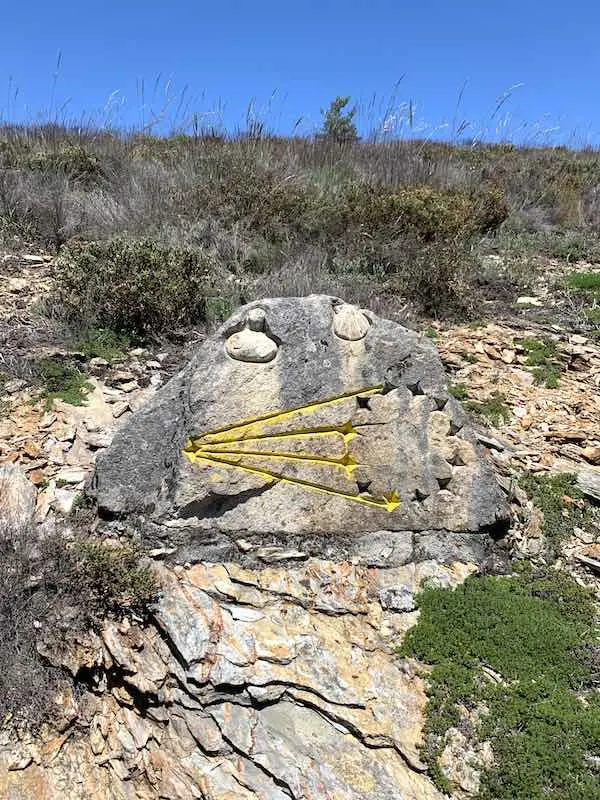 Beautiful Camino Sanabres Camino de Santiago (2023) 26 Camino sanabres waymark