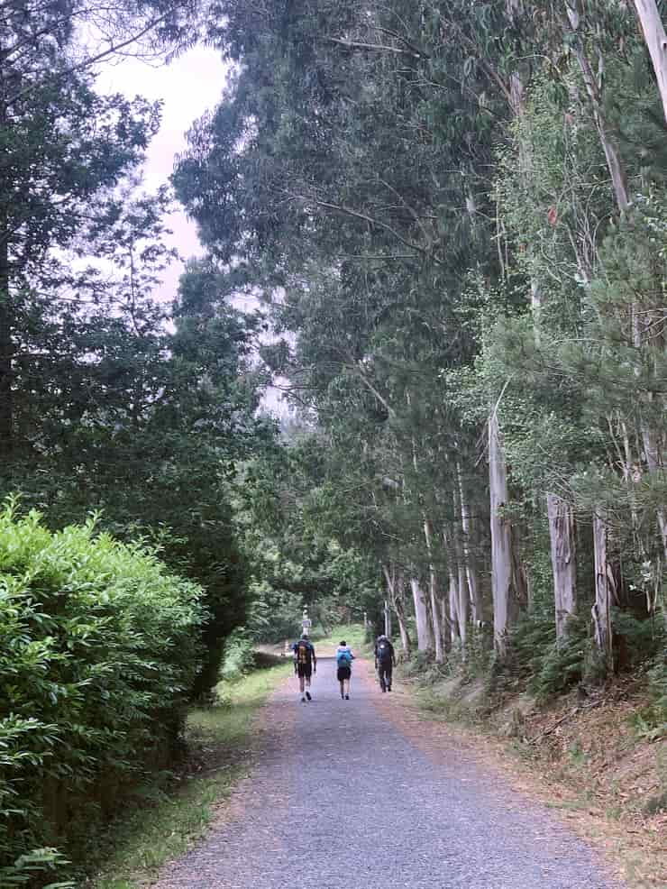 Camino de santiago a Fisterra, the landscape of the first stage