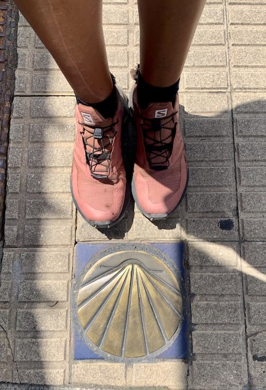 Camino de Santiago scallop shell