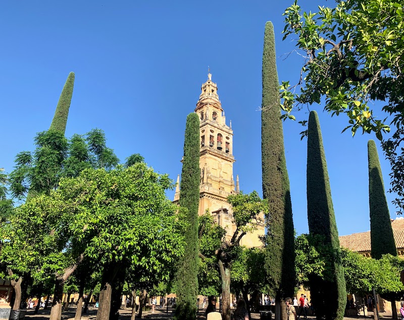 Climbing Torre Campanario is one of the best things to do in Cordoba Spain 