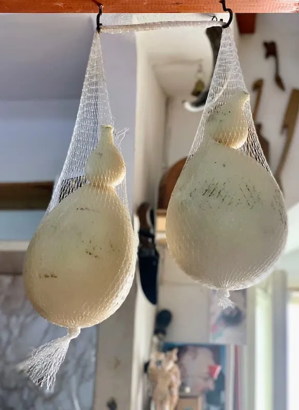 Best Food in Puglia: Must-try Puglia Dishes and Drinks 8 Caciocavallo podolico cheese is among the best food in Puglia Italy