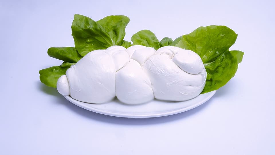 Mozzarella pugliese is among the must-try best food in Puglia