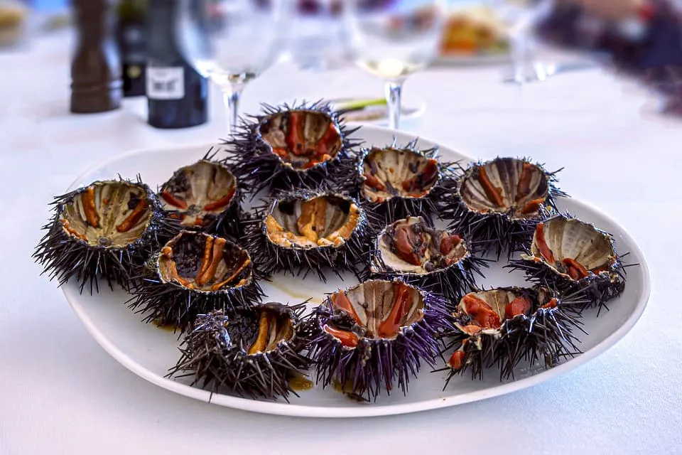 Sea urchins are a popular food in Puglia