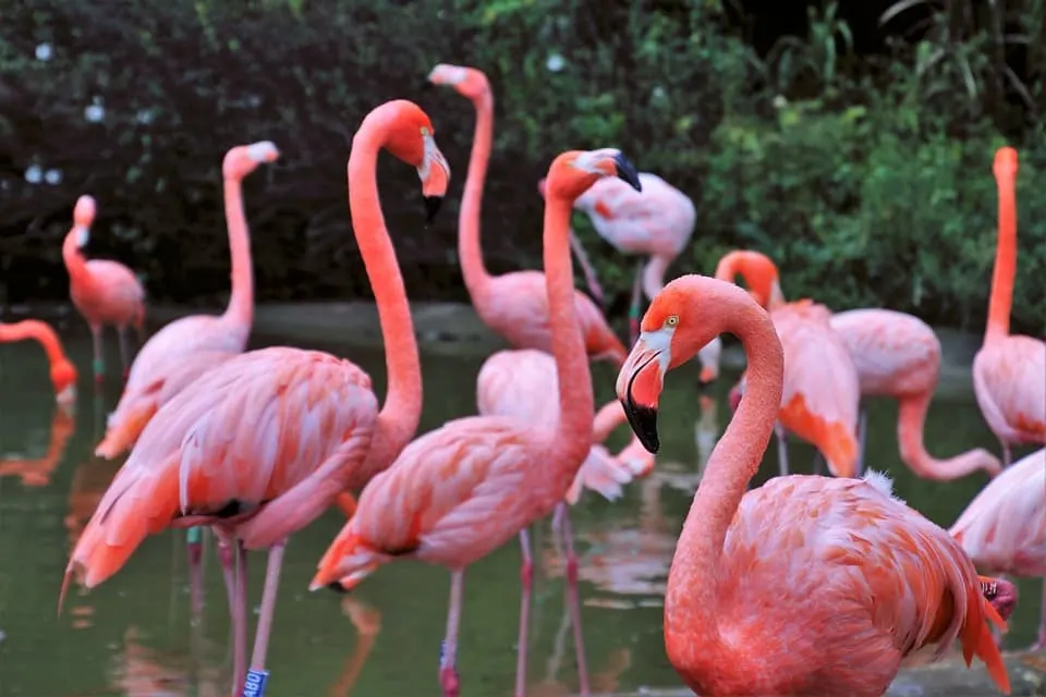 Torre Guaceto Nature Reserve is one of the best places to visit in Puglia Italy 