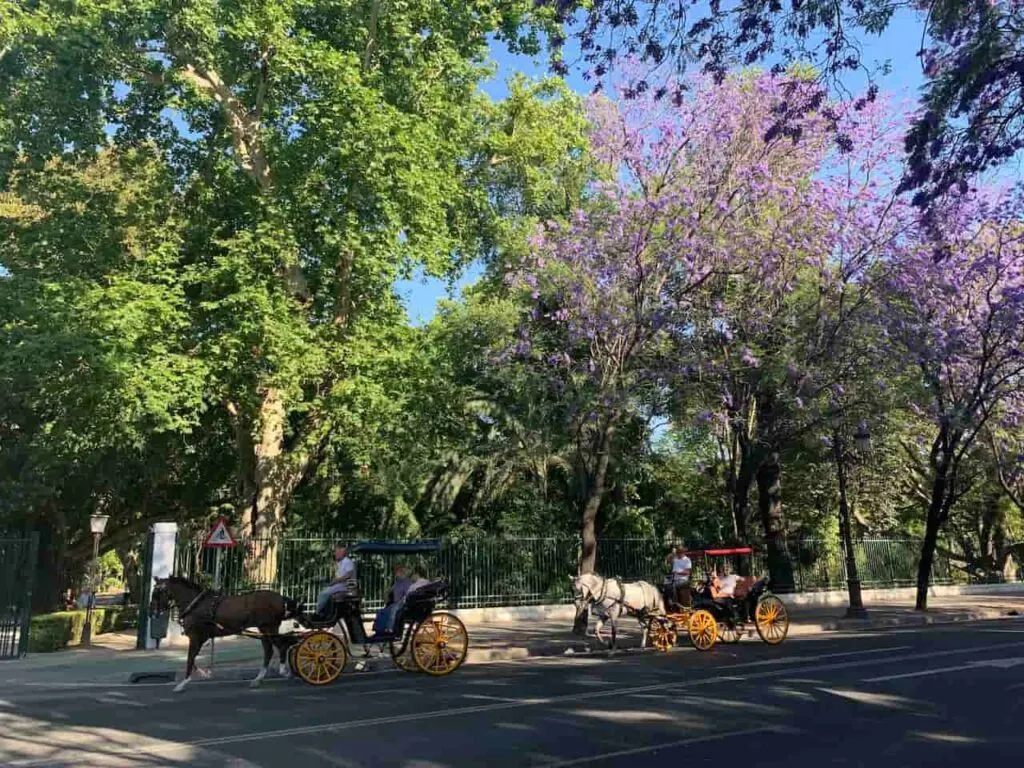 Sightseeing Seville in a horse carriage is among the best things to do in Seville in spring
