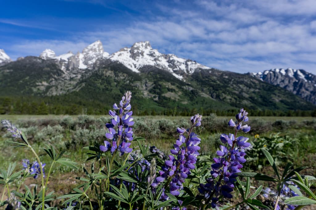 Grand Teton NP in Wyoming is among the best west coast national parks