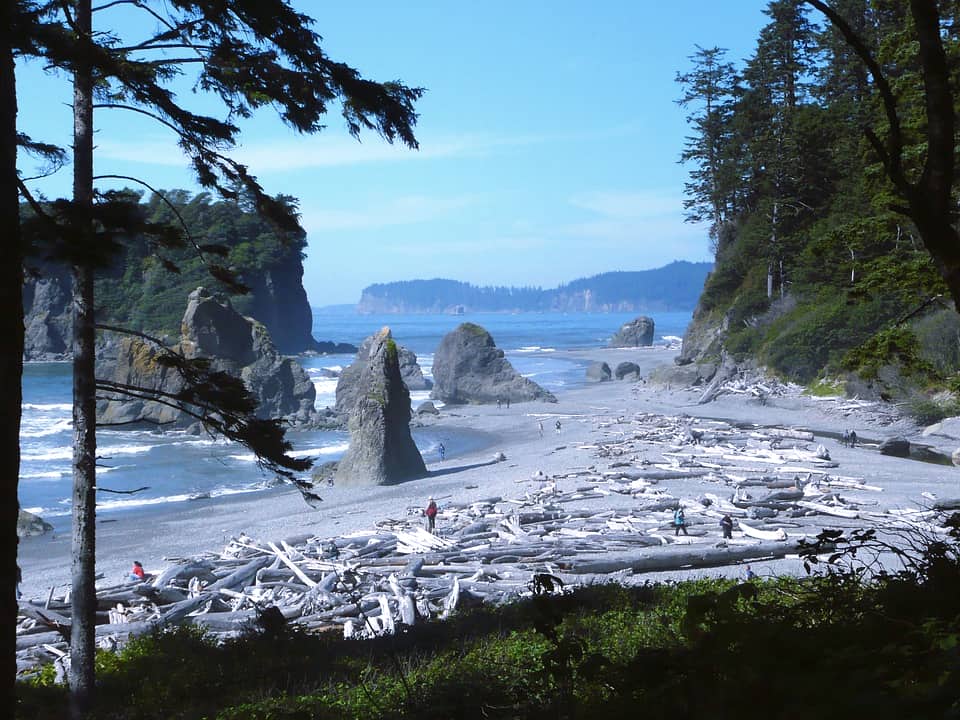 Olympic NP in Washington is among the best national parks in the west 