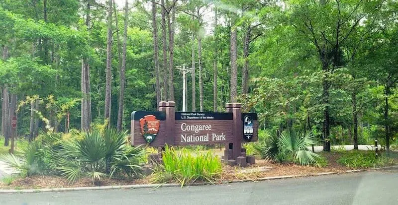 Congaree NP is among the best national parks to visit in march 