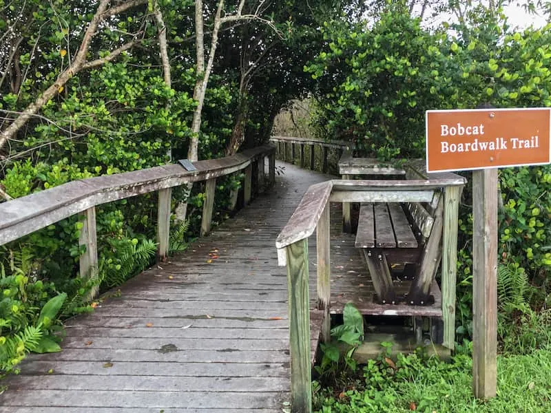 Best National Parks to Visit in March in the US 9 Everglades is among the best national parks to visit in March