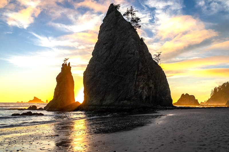 Olympic NP is among the best mational parks to visit in March