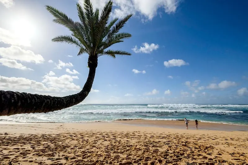 32 Best places to travel in March in the USA 3 Oahu is among the best places to travel in March USA