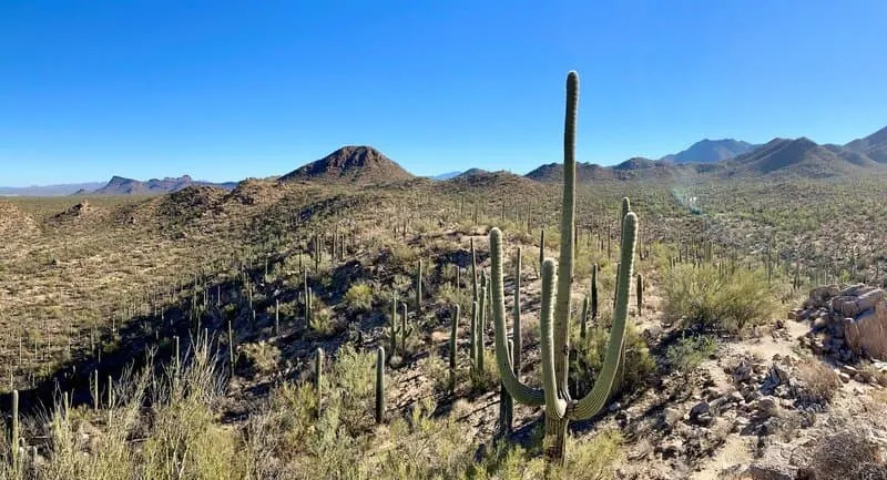 32 Best places to travel in March in the USA 6 Saguaro Np is among the best places to travel in March in the USA
