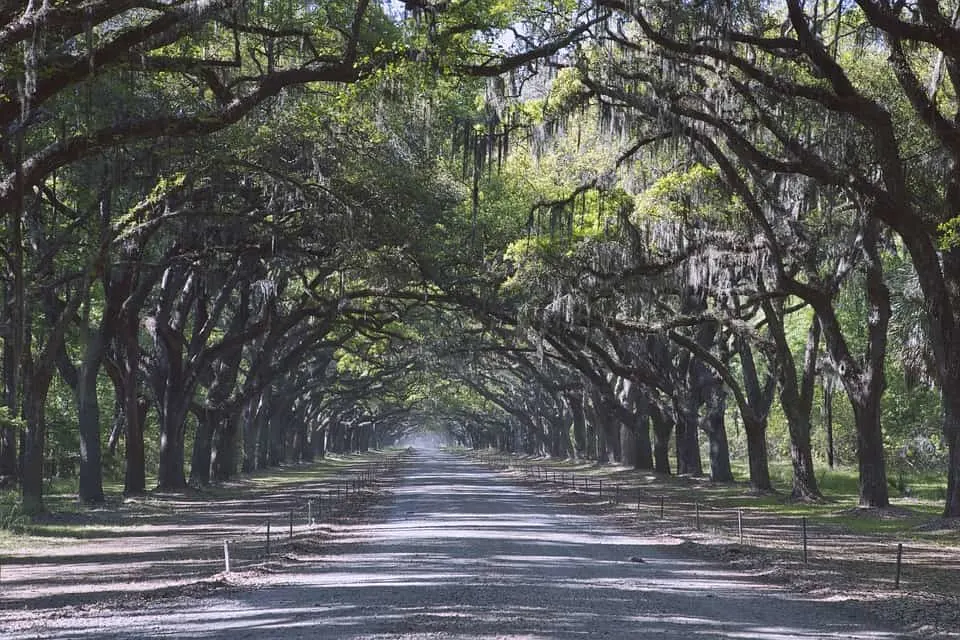 Savannah in Georgia is among the best places to visit in March USA