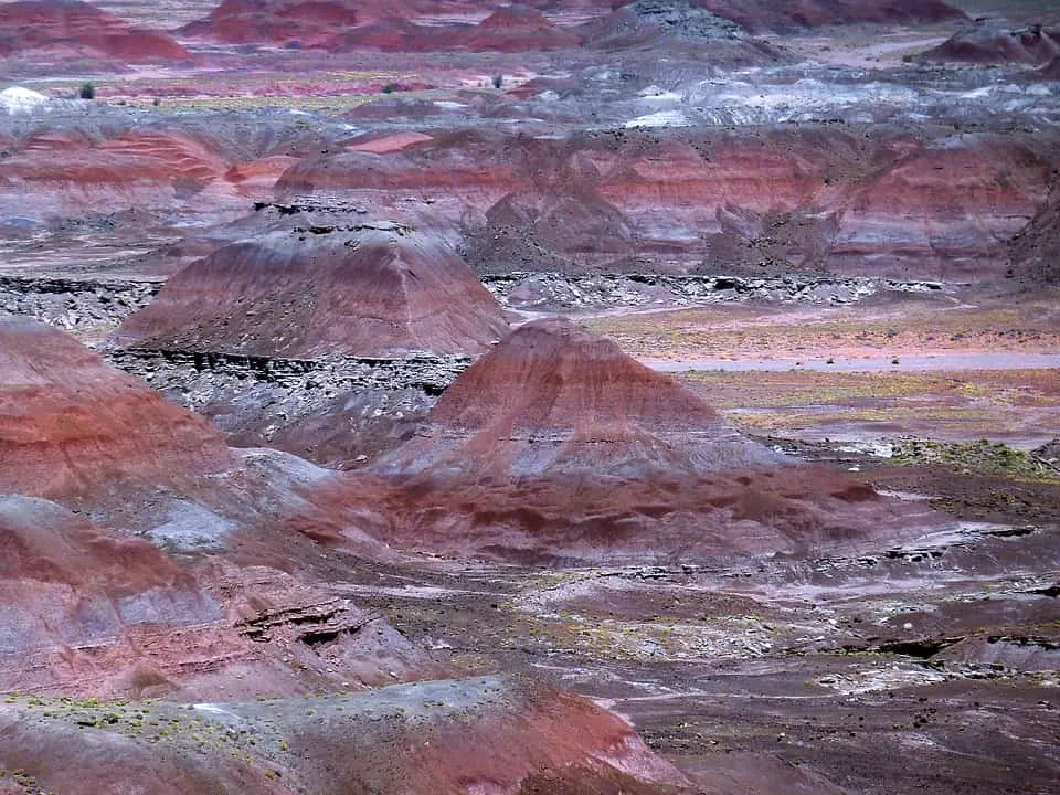 Petrified Forest in Arizona is among the best national parks in  west caost 