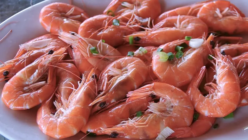Induling fresh seafood is one of the best things to do in Southwest Florida 