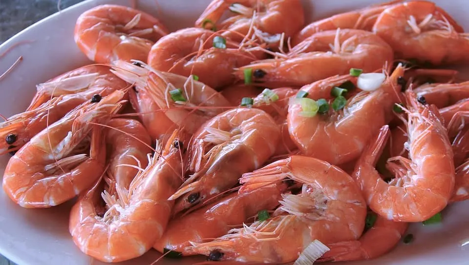 17 Best Things to Do in Southwest Florida 17 Induling fresh seafood is one of the best things to do in Southwest Florida