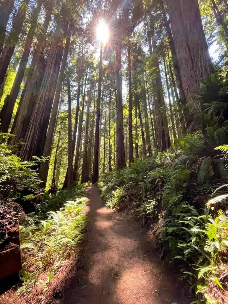 11 Best National Parks Road Trips (Map+Planner) 7 Best national parks road trips