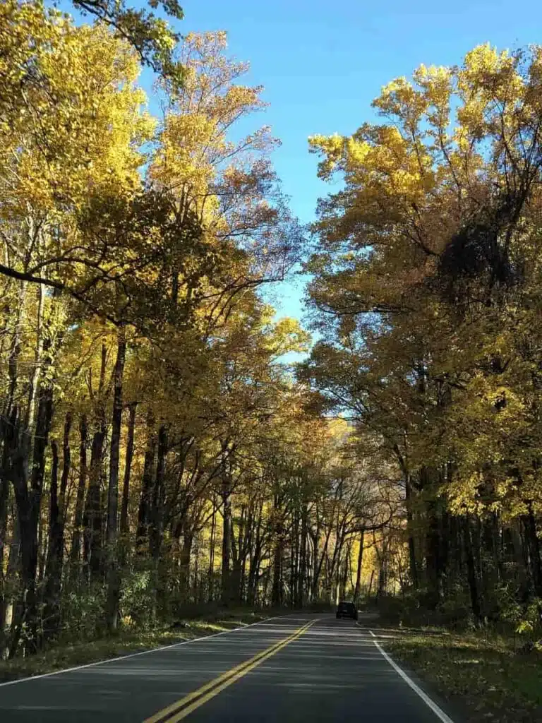 11 Best National Parks Road Trips (Map+Planner) 11 best national parks road trips