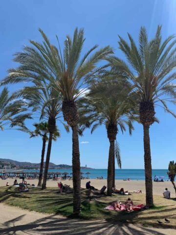 Where to stay in Malaga for beach? La Malagueta is the best area to stay for the beach in Malaga