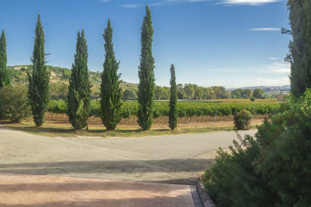 Penedes is one of the best day trips form Barcelona Spain 