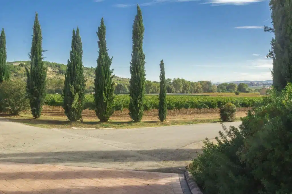 Penedes is one of the best day trips form Barcelona Spain 