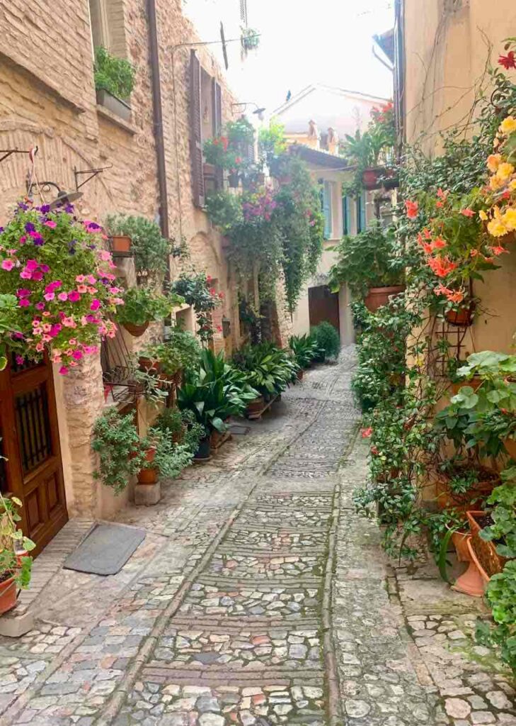 Strolling the flowery streets of Spello is among the best things to do in Umbra Italy 