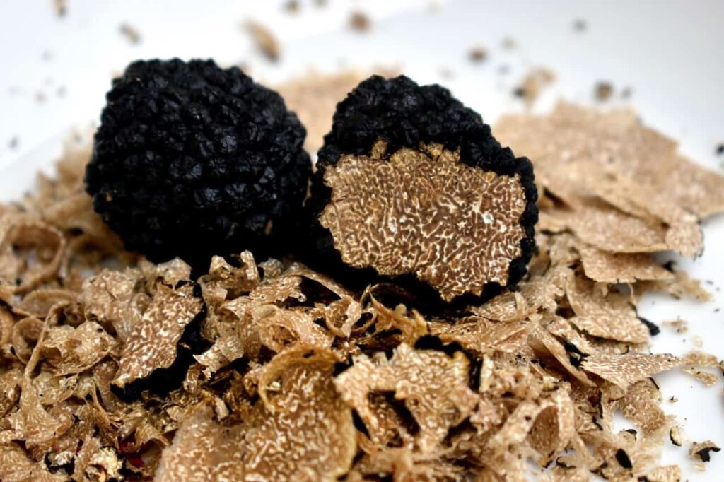 The truffle hunting in Umbria is one of the best things to od in Umbria Italy