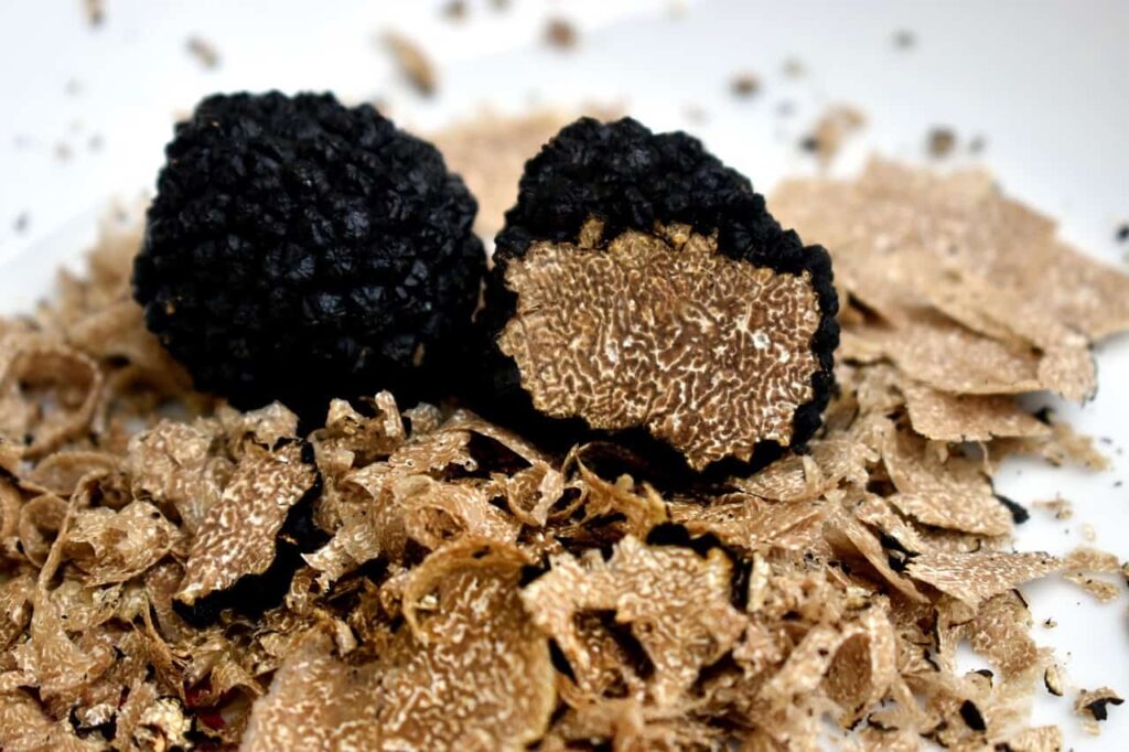 The truffle hunting in Umbria is one of the best things to od in Umbria Italy 