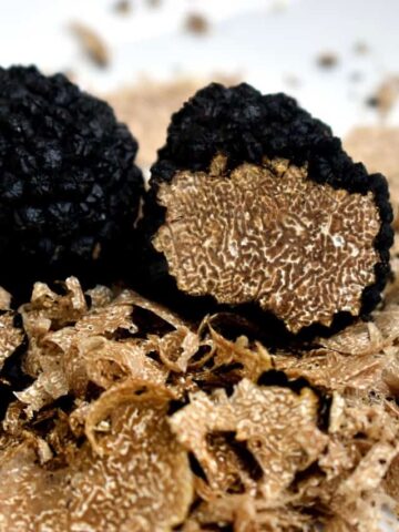 The truffle hunting in Umbria is one of the best things to od in Umbria Italy